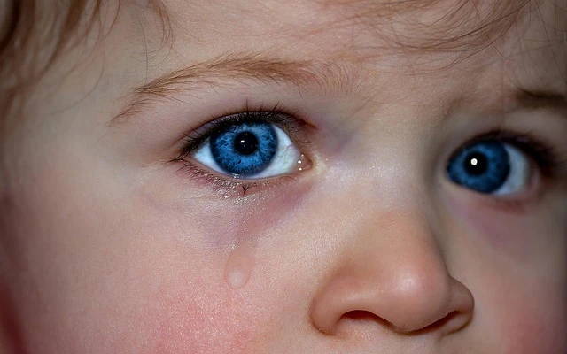 childrens-eyes-1914519_640 childrens-eyes-1914519_640