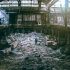 factory-4757647_1280