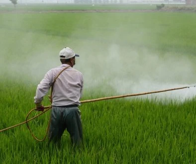 herbicide-587589_1280