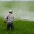 herbicide-587589_1280