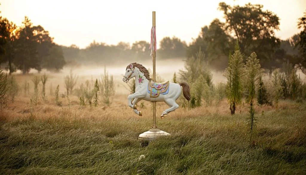 horse-1489825_640