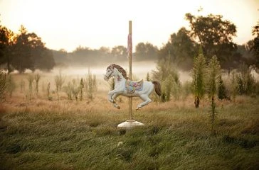 horse-1489825_640