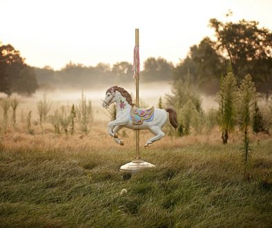 horse-1489825_640