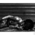 imgi_1_flickr-sowcarpet-chennai