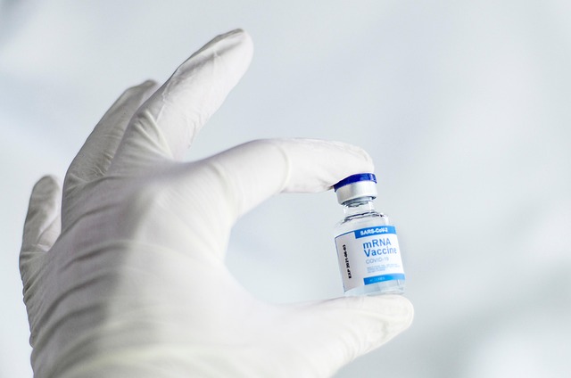 vaccine-6165772_640 vaccine-6165772_640