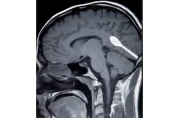 Activist Website - Images (1)