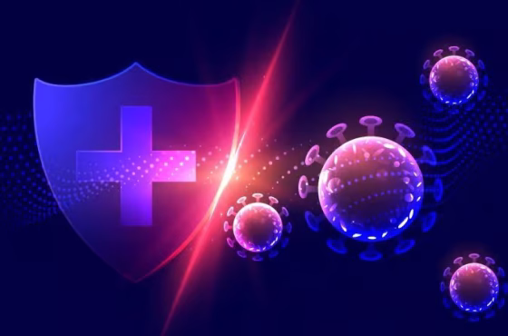 Shutterstock_1687418596-800x450