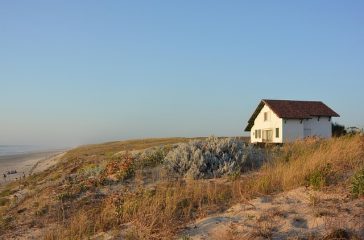 beach-3792035_640