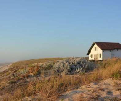 beach-3792035_640