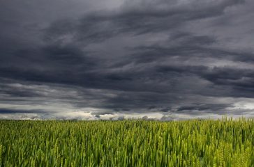clouds-194840_640