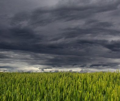 clouds-194840_640