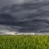 clouds-194840_640