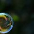 soap-bubble-824584_640