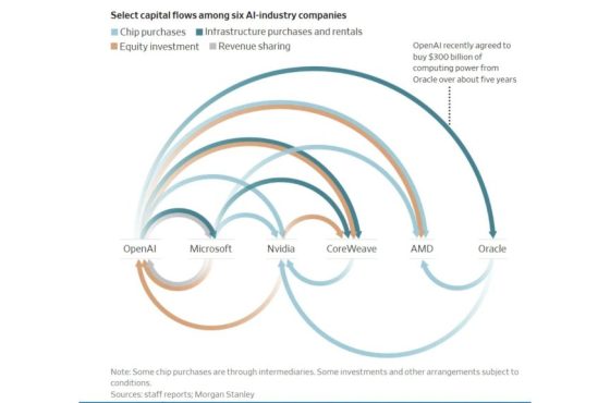 Activist Website - Images Activist Website - Images