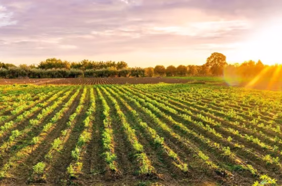 Shutterstock_2470800699-800x450