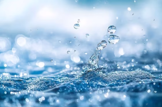 Shutterstock_2534832353-800x450