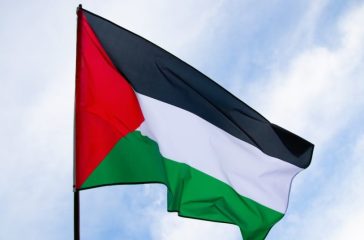 Close up view of the flag of Palestine waving in the wind Close up view of the flag of Palestine waving in the wind
