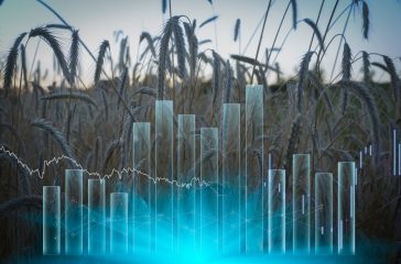 adobestockwheatgraphfoodcrisis-scaled