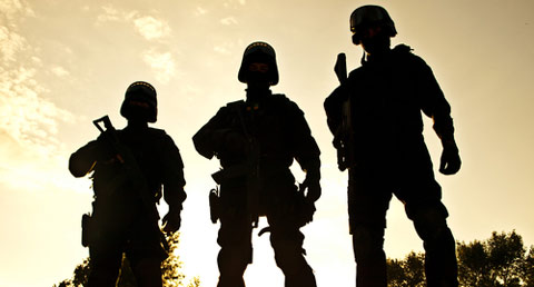 domestic-military-force-2