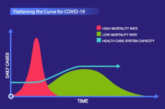 flattening-covid-graph