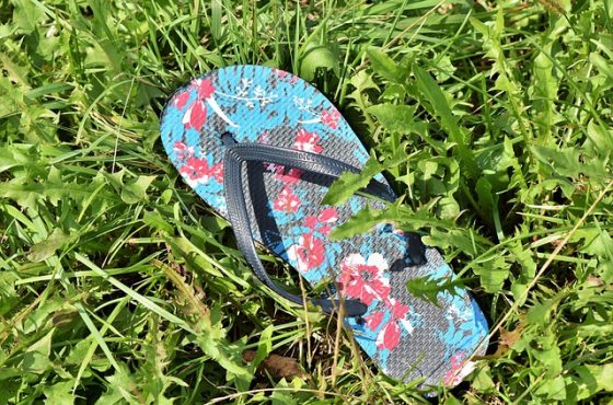 flip-flop-3664584_640 flip-flop-3664584_640