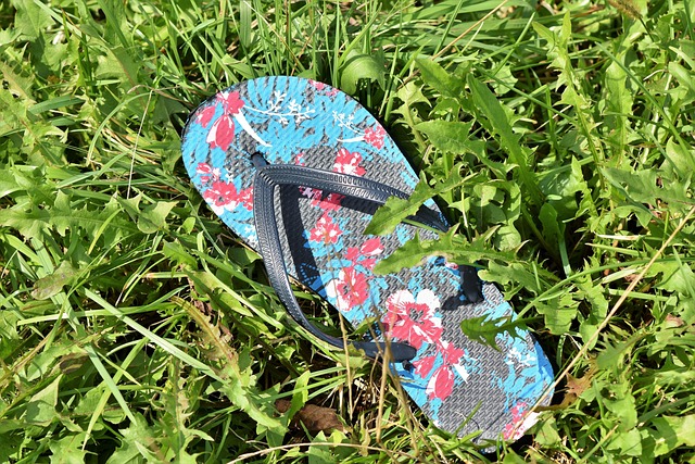 flip-flop-3664584_640 flip-flop-3664584_640