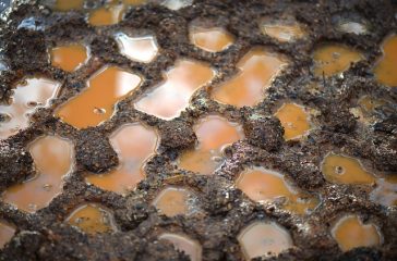 mud-258949_640