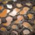 mud-258949_640