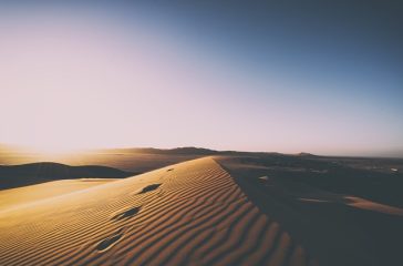 nature-2591930_640