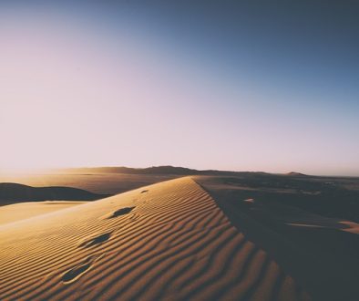 nature-2591930_640