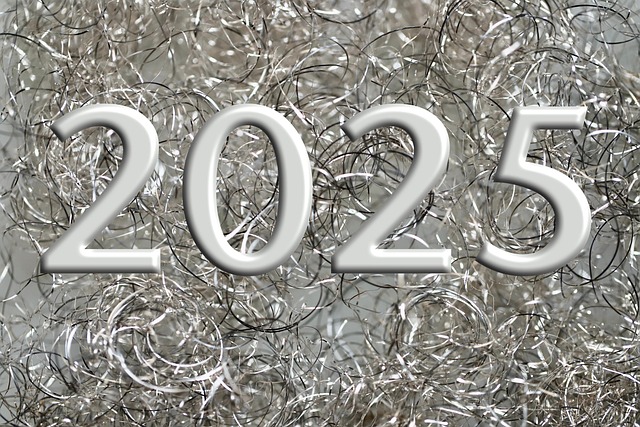 new-years-day-9165857_640