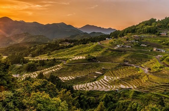 rice-terraces-2389023_640 rice-terraces-2389023_640