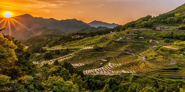 rice-terraces-2389023_640 rice-terraces-2389023_640