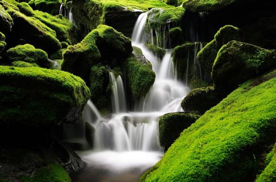 waterfall-5365926_640