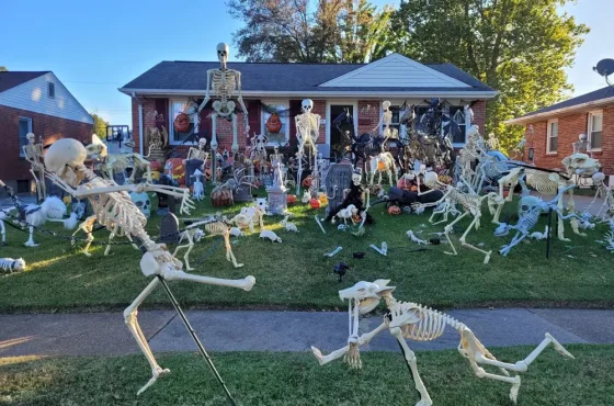 8215065e-b3ad-4679-af80-51291c048866_1000x750