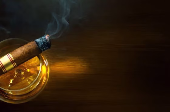 Shutterstock_2219448329-800x450