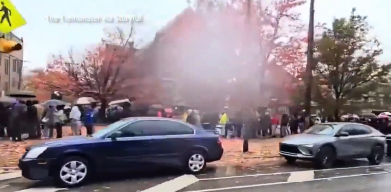 Snip20251109_24-768x378