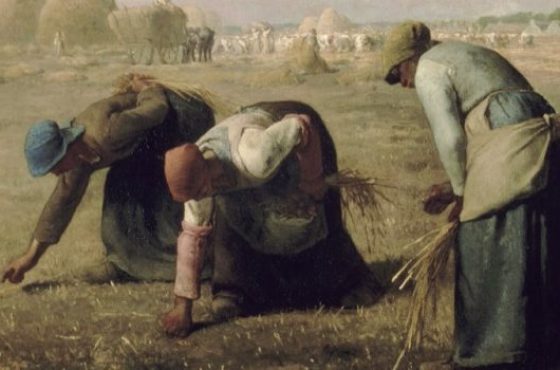 The-Gleaners-cropped-800x350
