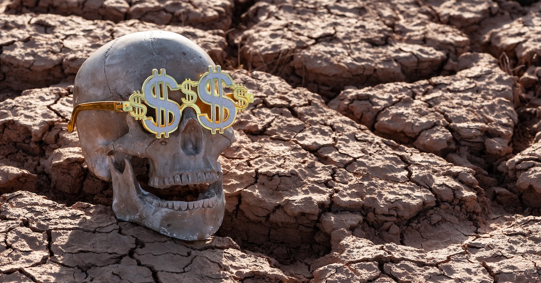 Skull of a man wearing glasses with an image of the US dollar symbol on heat-cracked clay in the desert Capitalism Is The Best It’s Ever Been!