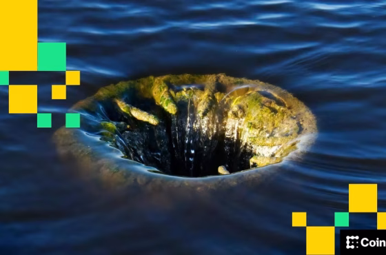 b6d1829b112ff32a14a92e2d67f31e29a9d1b1f5-1920x1080