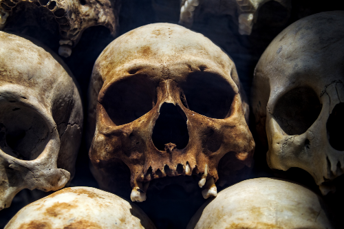 genocide-skulls-bones-death genocide-skulls-bones-death