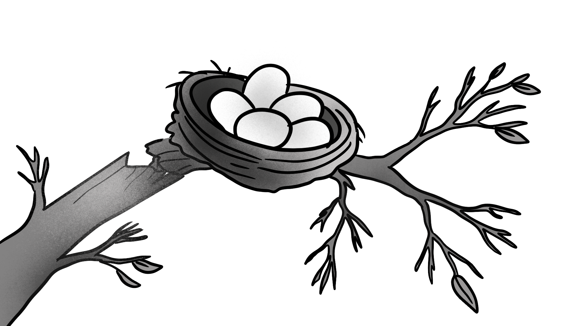 illustration illustration