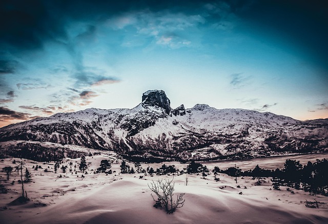 winter-5065546_640 winter-5065546_640