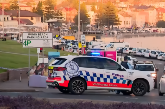 Bondi-Shooting-Main-768x523