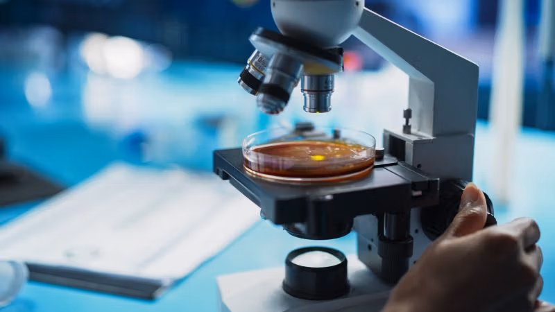 Shutterstock_2456036581-800x450.jpg Shutterstock_2456036581-800x450.jpg