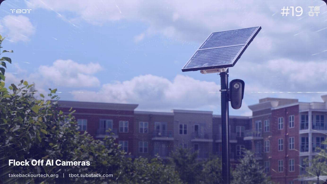 Flock Off AI Cameras!