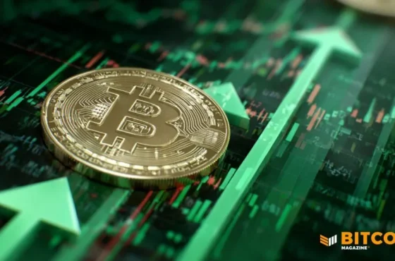 Bitcoin-Price-Struggled-in-2025-but-Long-Term-Lows-Show-a-Strong-and-Rising-Floor-1024x576