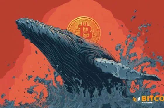 Bitcoin-Whales-Keep-Buying-as-100-BTC-Addresses-Set-New-Record-1024x576