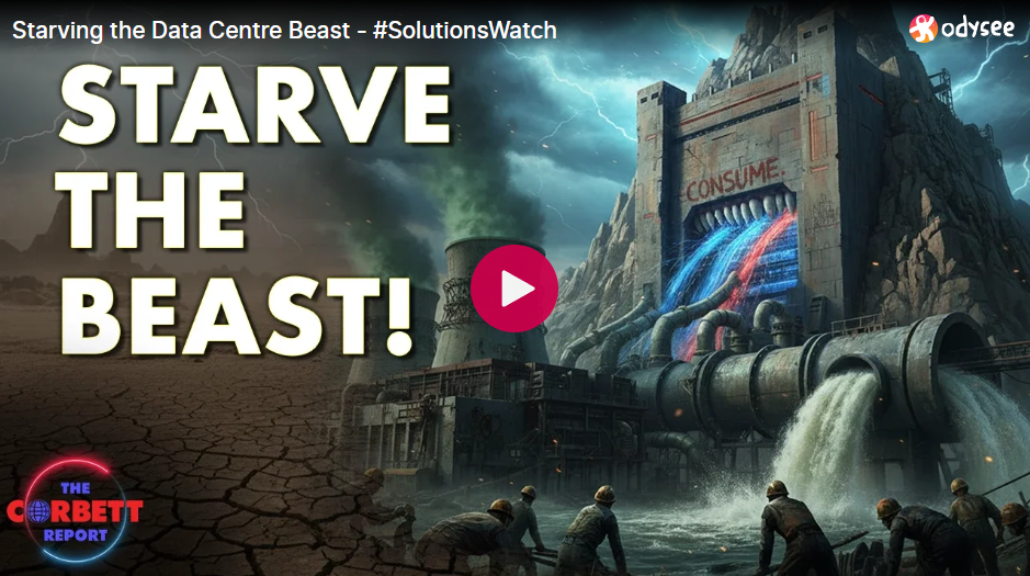 Screenshot 2026-01-27 192743