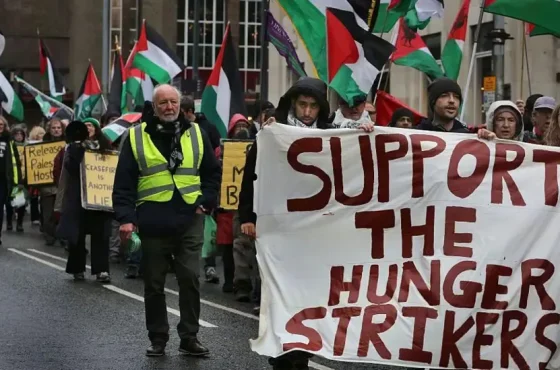 fe65bd68-7b90-4fd7-880d-f0ef917ffa80_976x549